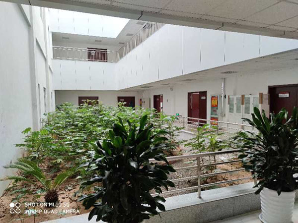 中國重汽實驗室圖片